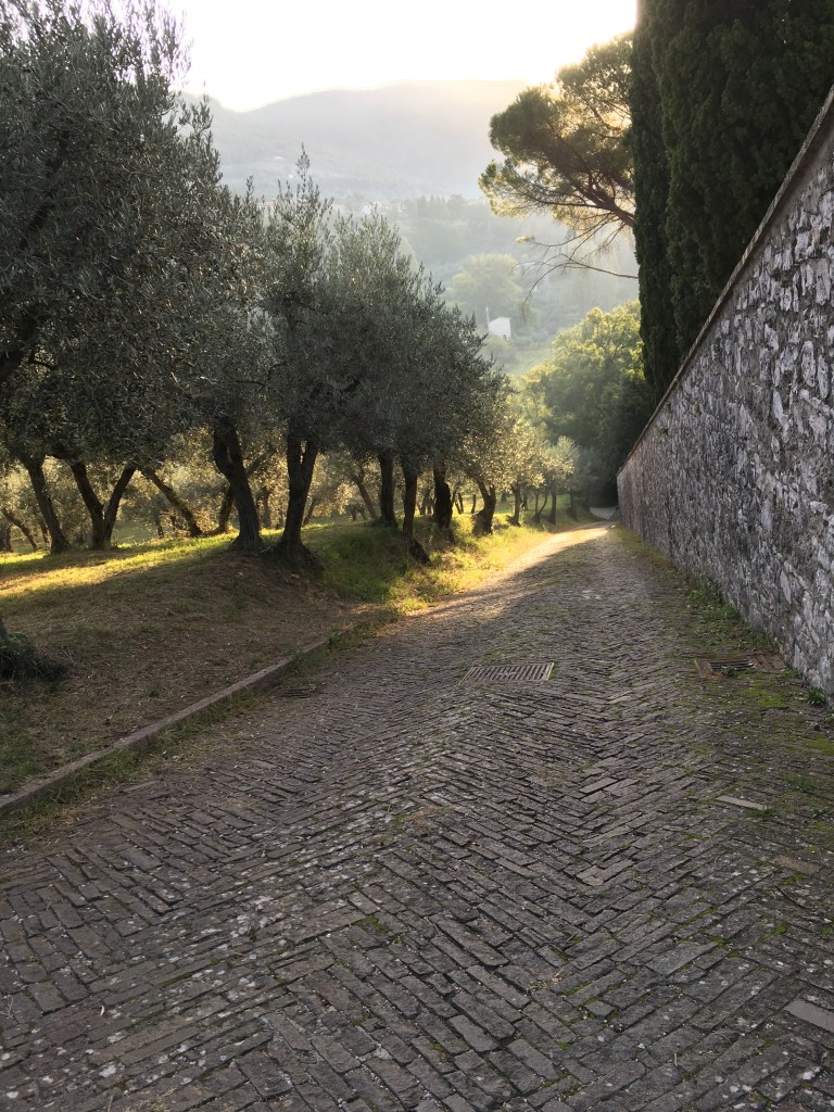 San-Damiano-Path-2019_BYJOANCOOGAN